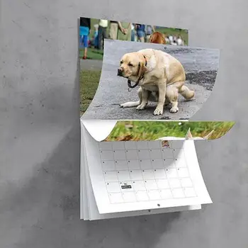 Забавный подарочный календарь с рисунком собаки на 2024 год, прочный настенный календарь с большим пространством для письма для украшения дома