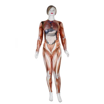 3D моделирование скелетных мышц Анатомия сосудов Преподаватель медицины Внутренние органы человека Одежда