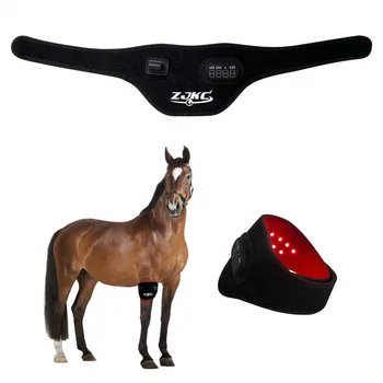 Терапия красным светом на лошади, обертывание всего тела, светодиодная терапия, светодиодная терапевтическая машина