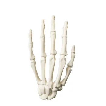 Модель скелета кисти, имитация костной пилы, мастерская псевдокостов, Предоперационная практическая подготовка, модель кости ладони