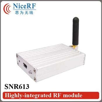 2ШТ SNR613 100 МВт 433 МГц USB Интерфейс Сетевой узел RF Модуль + 2ШТ Маленькая резиновая антенна + 2ШТ USB Кабели